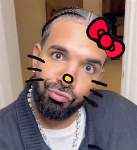 hello kitty filter on tiktok|drake with hello kitty filter.